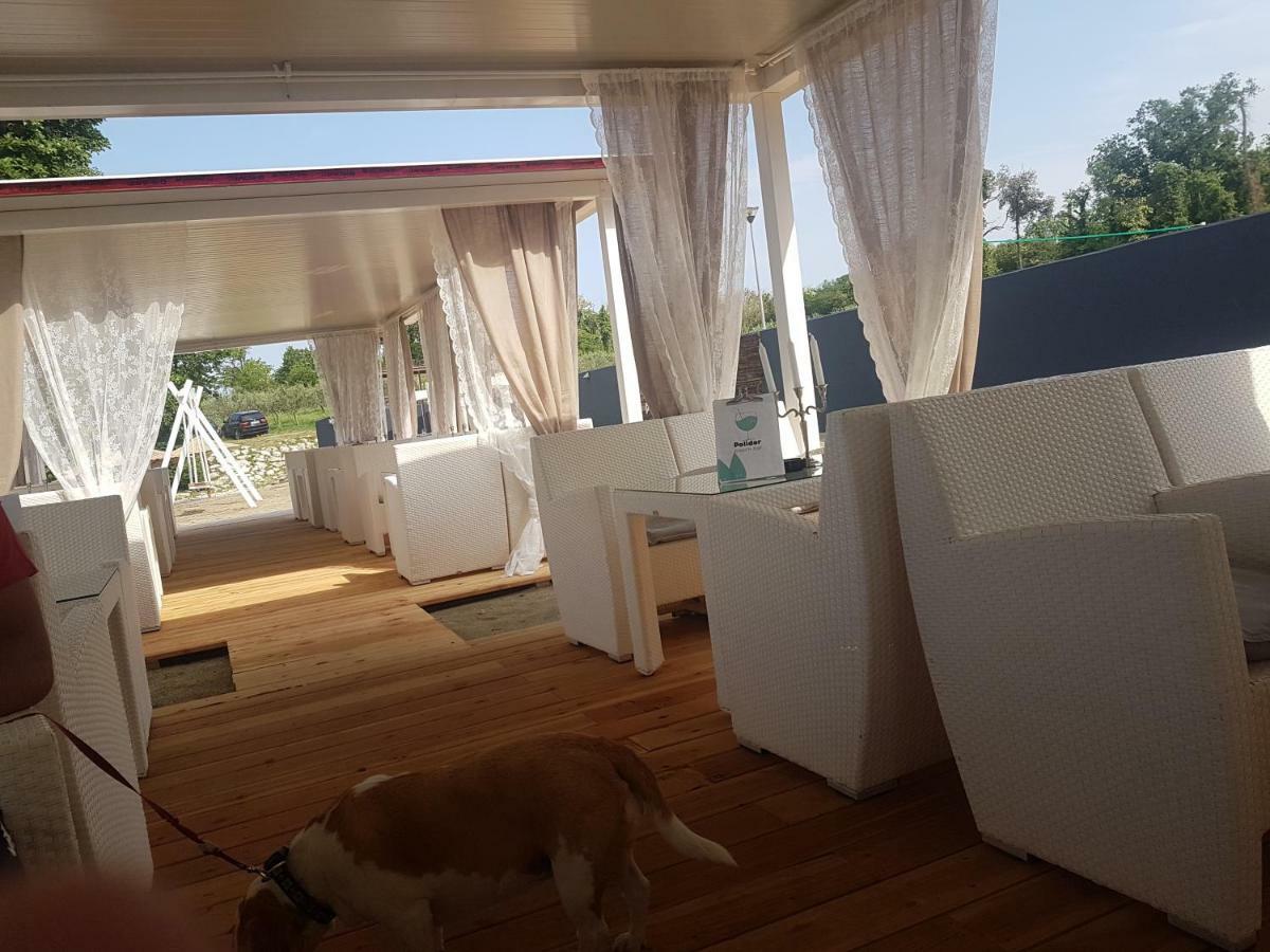 Apartament Zara